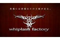 artículos de pesca de la marca whiplash factory